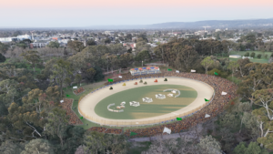 NAPA Speedway 2025